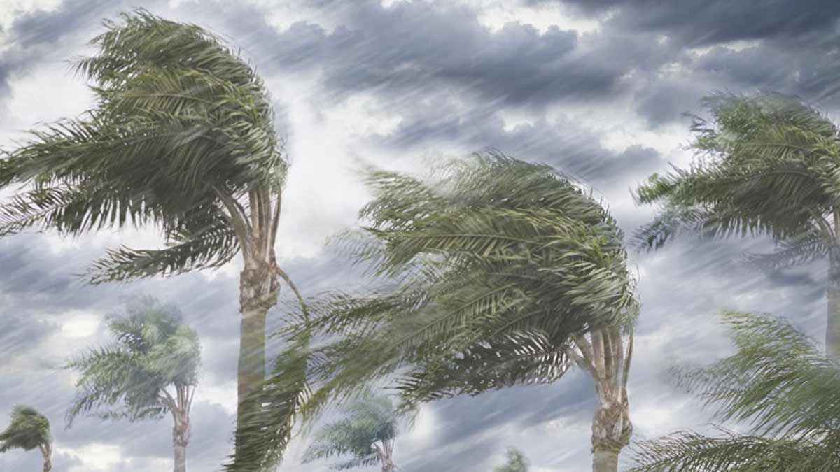 ঢাকাসহ ১৩ জেলায় ৬০ কিমি বেগে ঝড় ও বজ্রসহ বৃষ্টির পূর্বাভাস