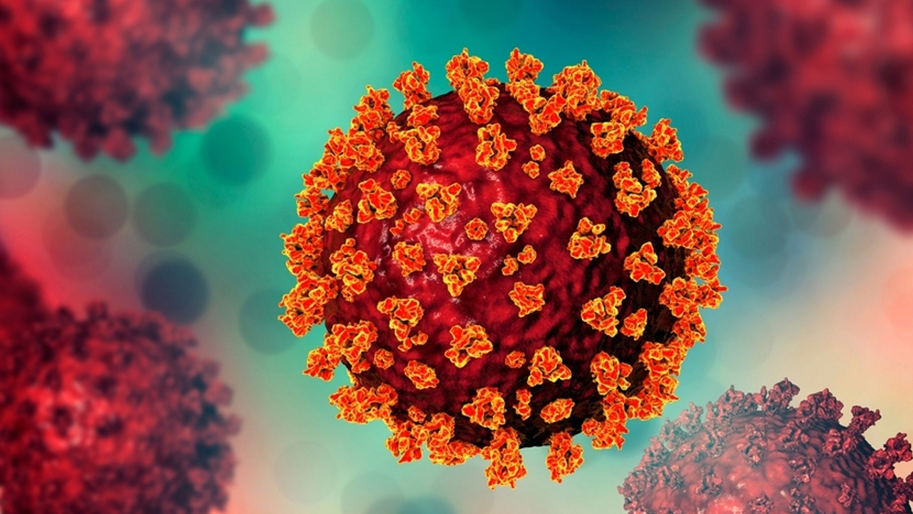 করোনায় আরও দুইজনের মৃত্যু