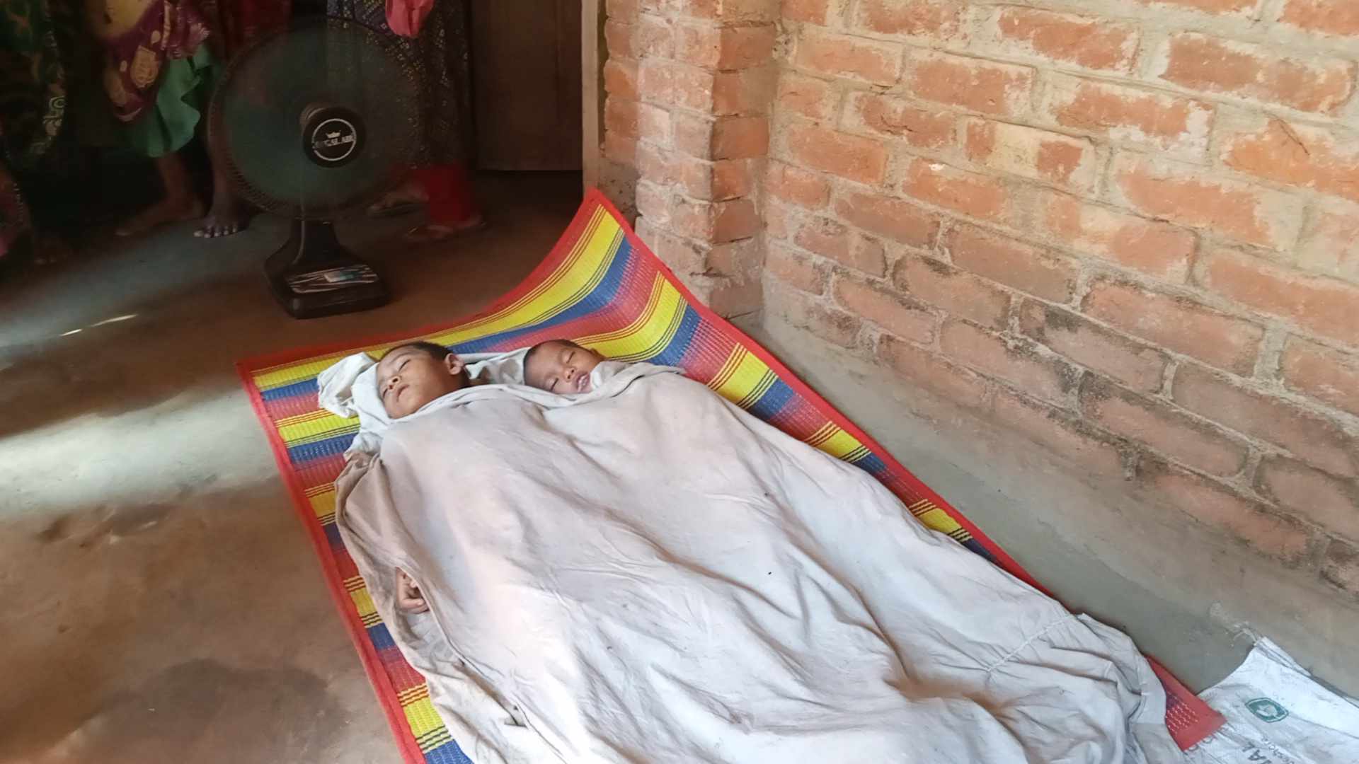 ঠাকুরগাঁওয়ে পুকুরের পানিতে ডুবে ভাই বোনের মৃত্যু