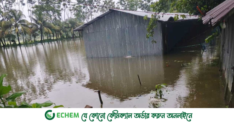 মুহুরী নদীর পানি বাড়তে থাকায় নোয়াখালীতে বন্যার আশঙ্কা
