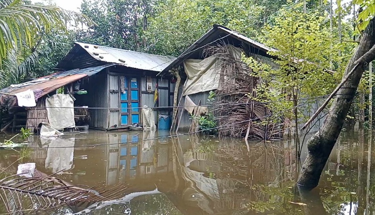 লক্ষ্মীপুরে টানা বৃষ্টিতে জলাবদ্ধতা, ফের বন্যার শঙ্কা!