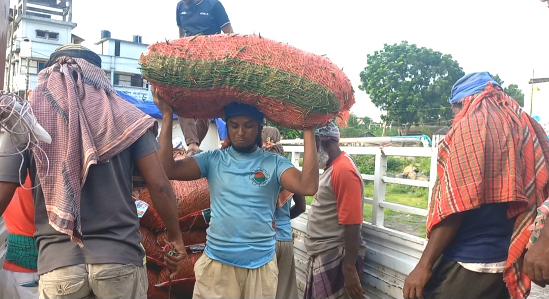 দেশের বাজারে দাম বৃদ্ধি: ৮ মাস পর হিলি বন্দর দিয়ে কাঁচা মরিচ আমদানি শুরু