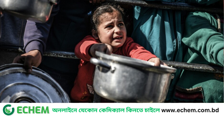 গাজায় অনাহারে ২৪ ঘণ্টায় মৃত্যু ১৫ জনের, নিহতদের একজন ছয় সপ্তাহের শিশু
