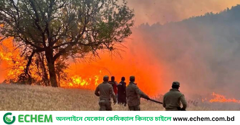 তুরস্কে দাবানল নেভাতে গিয়ে ১০ জনের মৃত্যু