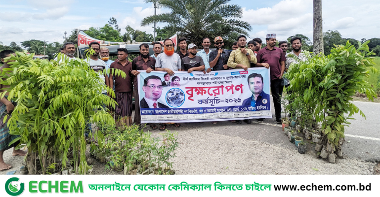 চৌদ্দগ্রামে যুবদল নেতা কামরুলের উদ্যোগে দুই শতাধিক গাছের চারা রোপন