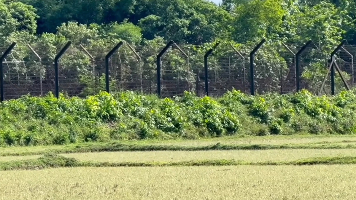 ফেনী সীমান্তে বিএসএফের গুলিতে বাংলাদেশি নিহত, আহত ১