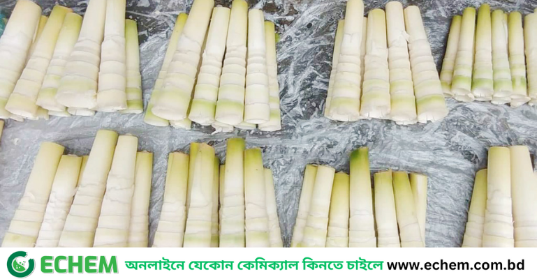 পাহাড়ি খাবার সুস্বাদু বাঁশ কোড়ল