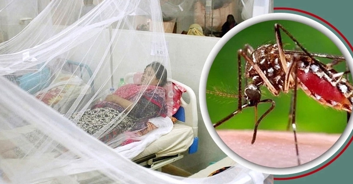 একদিনে ডেঙ্গুতে ৩ জনের মৃত্যু, হাসপাতালে ৩৩১