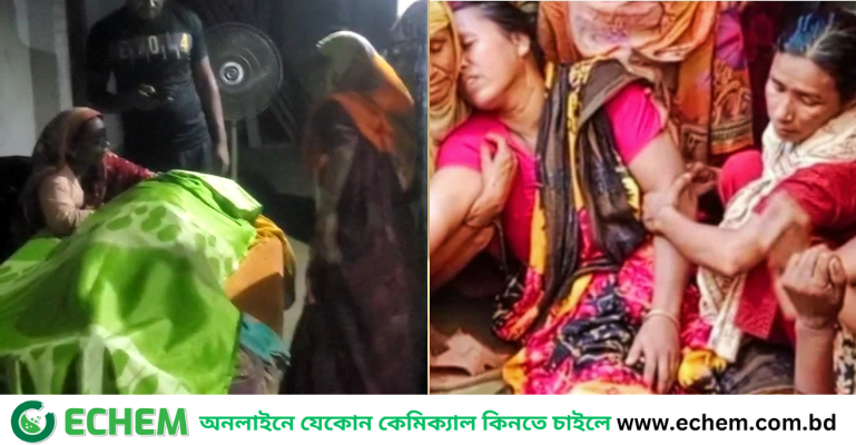 ফুলবাড়ীতে শাপলা ফুল তুলতে গিয়ে পানিতে ডুবে দুই শিক্ষার্থীর মৃত্যু