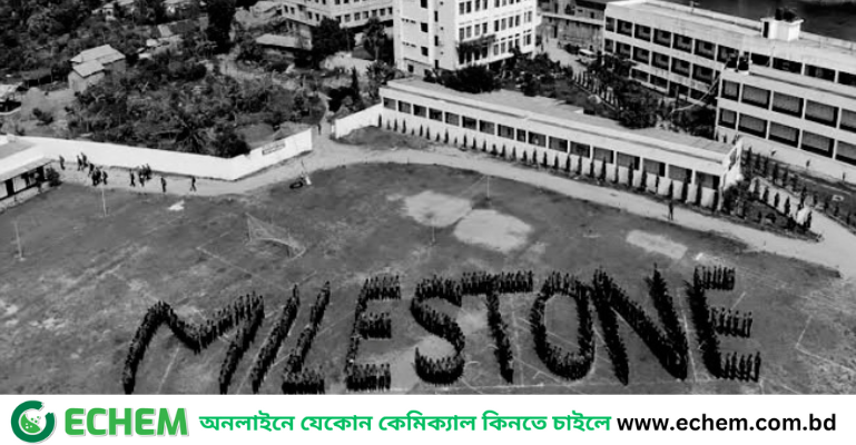 আমার বাবু কেন ফিরলোনা!