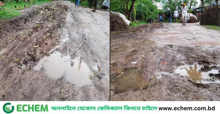 লালপুরে প্রায় ৩ কিলোমিটার সড়কের বেহাল দশা, ভোগান্তি চরমে