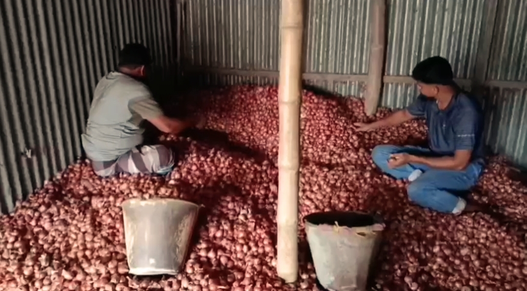 ফরিদপুরে গত ৭ দিন বাড়তি দাম পেঁয়াজের, সামান্য কমেছে আজ