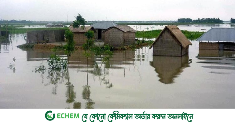 পদ্মার পানি বিপৎসীমার কাছাকাছি, ডুবছে চর