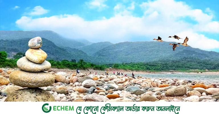 এক পাড়ের ‘নিয়ন্ত্রক’ পদ হারালেও অন্যরা ধরাছোঁয়ার বাইরে