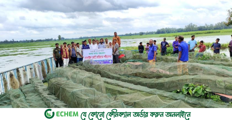 ঠাকুরগাঁওয়ে অবৈধ জাল পুড়িয়ে দিলো প্রশাসন