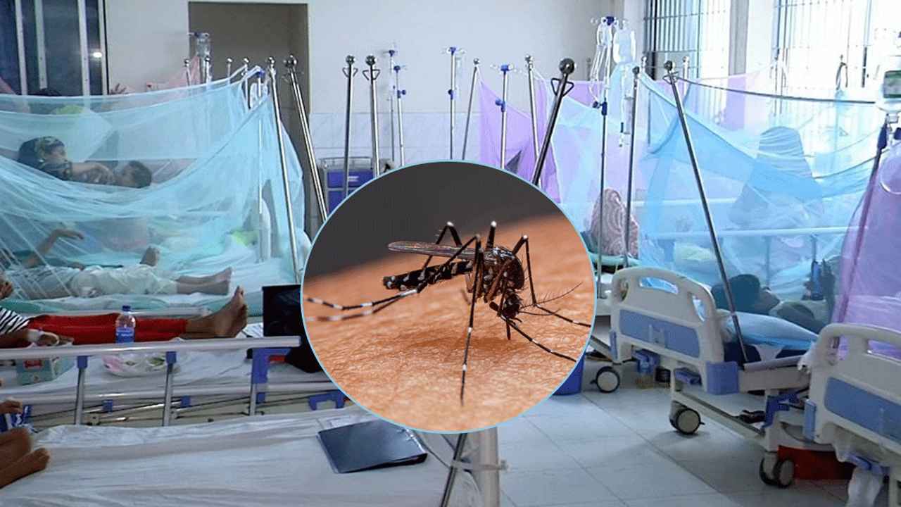 একদিনে ৪ শিশু-তরুণের প্রাণ কাড়ল ডেঙ্গু