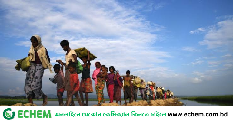 রোহিঙ্গা সংকট মোকাবিলায় বাংলাদেশের পাশে থাকবে যুক্তরাজ্য-ফ্রান্সসহ ১১ দেশ