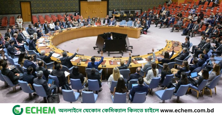 আবারও গাজায় নিঃশর্ত যুদ্ধবিরতির প্রস্তাবে যুক্তরাষ্ট্রের ভেটো