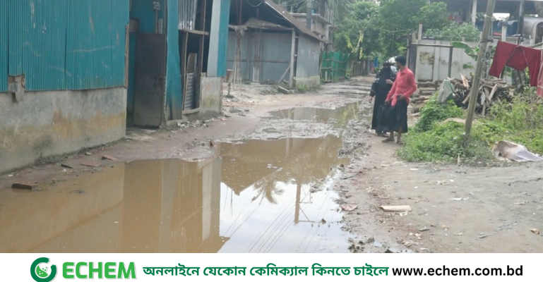 নোয়াখালীতে দীর্ঘ জলবদ্ধতায় এলজিইডির সাড়ে ৪শত কিঃমি সড়ক ক্ষতিগ্রস্ত, জনদুর্ভোগ চরমে