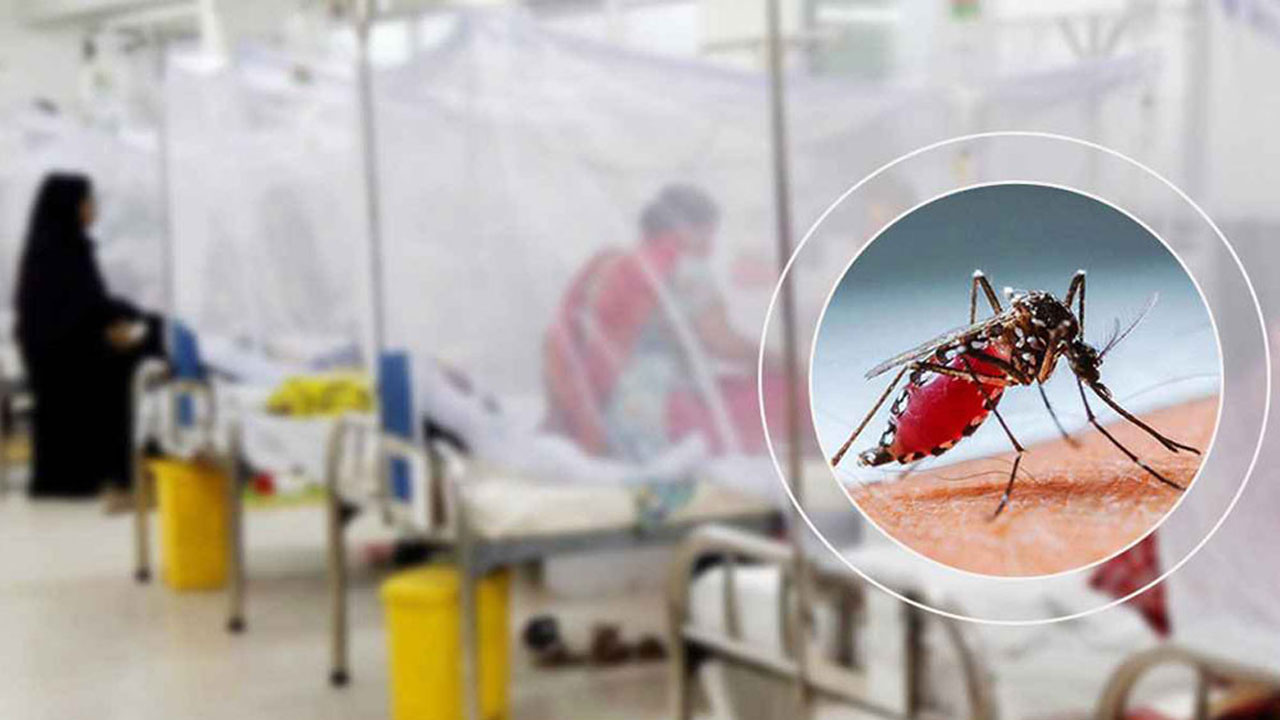 ডেঙ্গু কাড়লো আরও ৫ প্রাণ, হাসপাতালে ভর্তি ৬৬৮