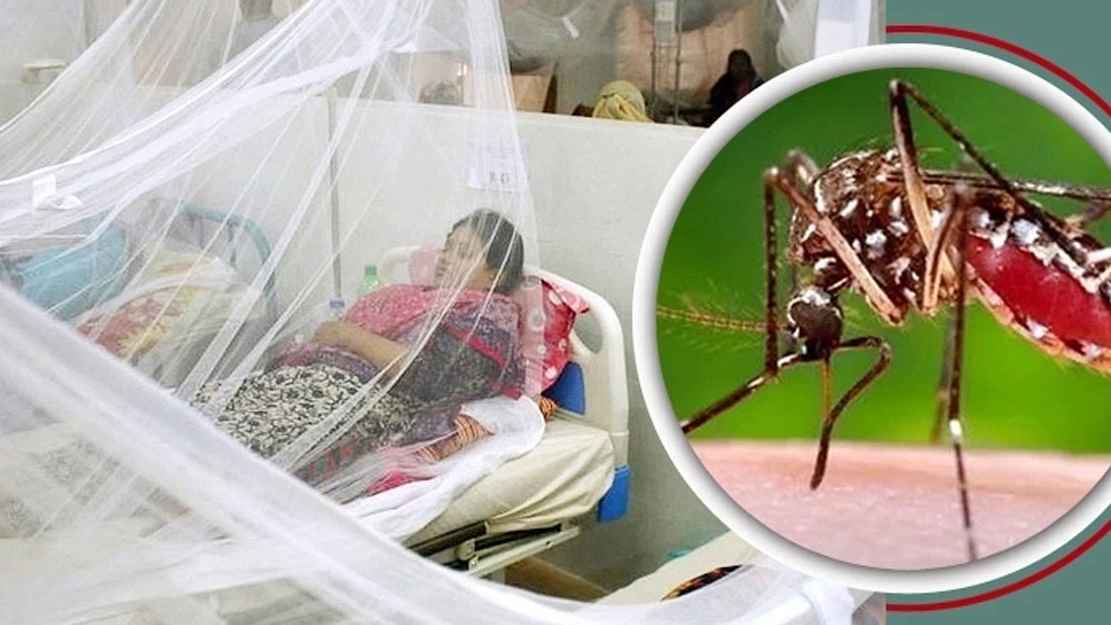 ডেঙ্গুতে এক দিনে রেকর্ড ৯ জনের মৃত্যু