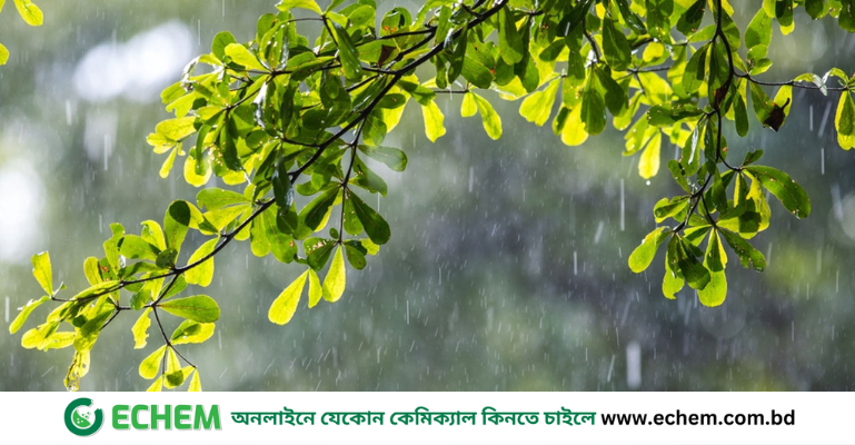 ১৭ অক্টোবর থেকে দেশের ২৯ জেলায় বিক্ষিপ্ত বৃষ্টির আভাস
