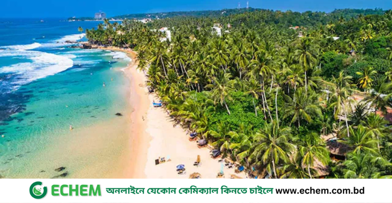 বাংলাদেশিদের জন্য শ্রীলঙ্কায় প্রবেশে নতুন নিয়ম, ১৫ অক্টোবর থেকে কার্যকর