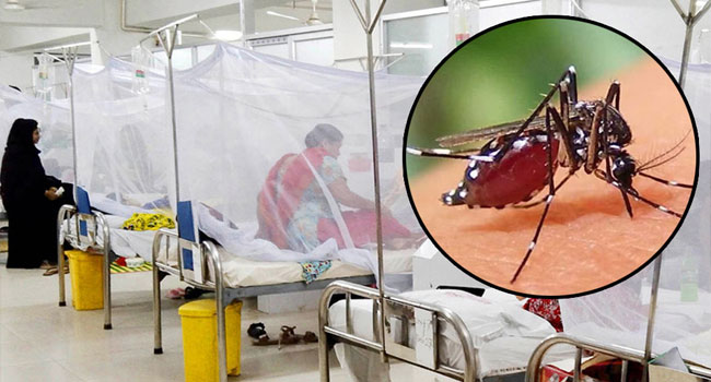 ডেঙ্গুতে আরো ৪ মৃত্যু, হাসপাতালে ভর্তি ৯৪২