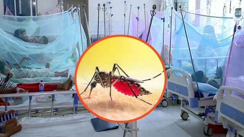 ডেঙ্গুতে মৃতের সংখ্যা আড়াই শ’ ছাড়াল