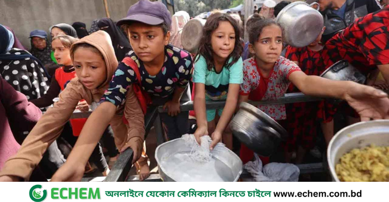 যুদ্ধবিরতির পরও গাজায় ভয়াবহ ক্ষুধা সংকট চলছে: ডব্লিউএইচও