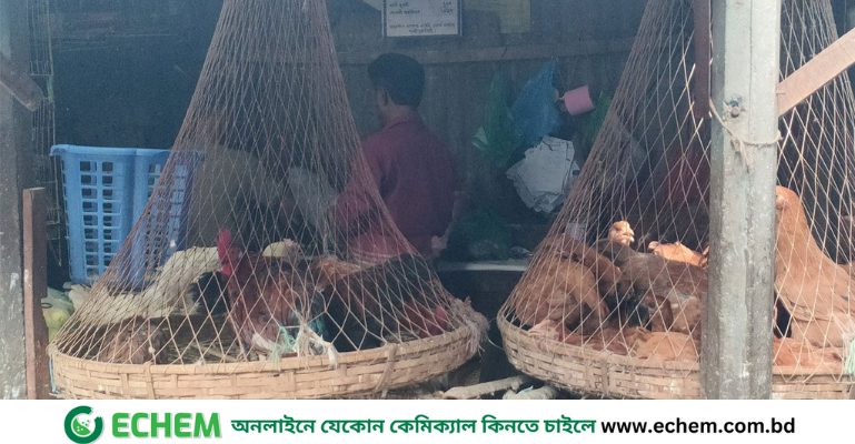 কিছুটা কমেছে মুরগির দাম, গরু ও খাসির মাংসের দাম অপরিবর্তিত
