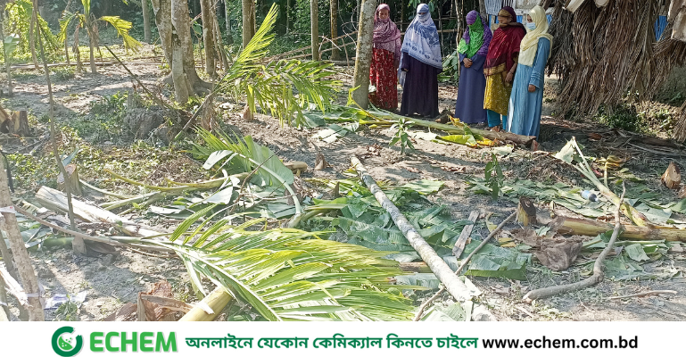 মোরেলগঞ্জে প্রবাসীর বাড়িতে দুর্বৃত্তদের হামলা মাদ্রাসা শিক্ষকসহ ৫ নারী আহত