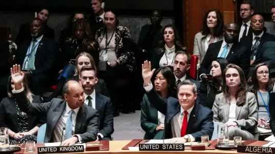 নিরাপত্তা পরিষদে গাজা নিয়ে ট্রাম্পের ২০ দফা পরিকল্পনাকে সমর্থন