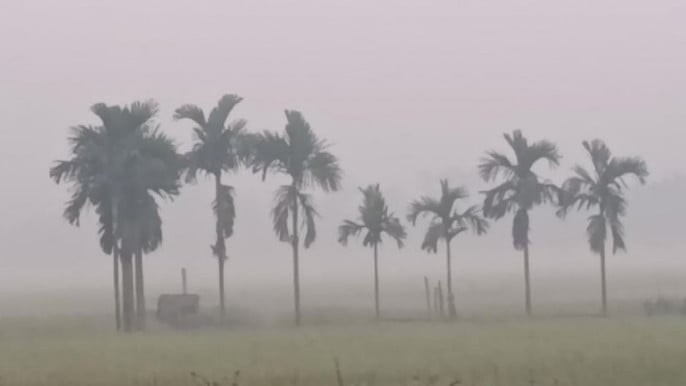 পঞ্চগড়ে তাপমাত্রা নেমেছে ১২ ডিগ্রির ঘরে