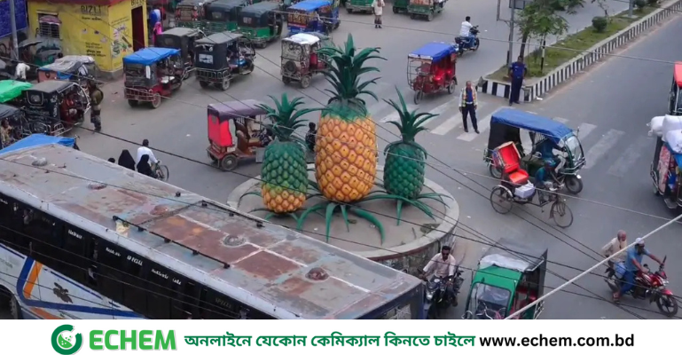 ভূমিকম্পের ‘উচ্চ ঝুঁকিতে’ মধুপুর ফল্ট, শঙ্কিত টাঙ্গাইলবাসী