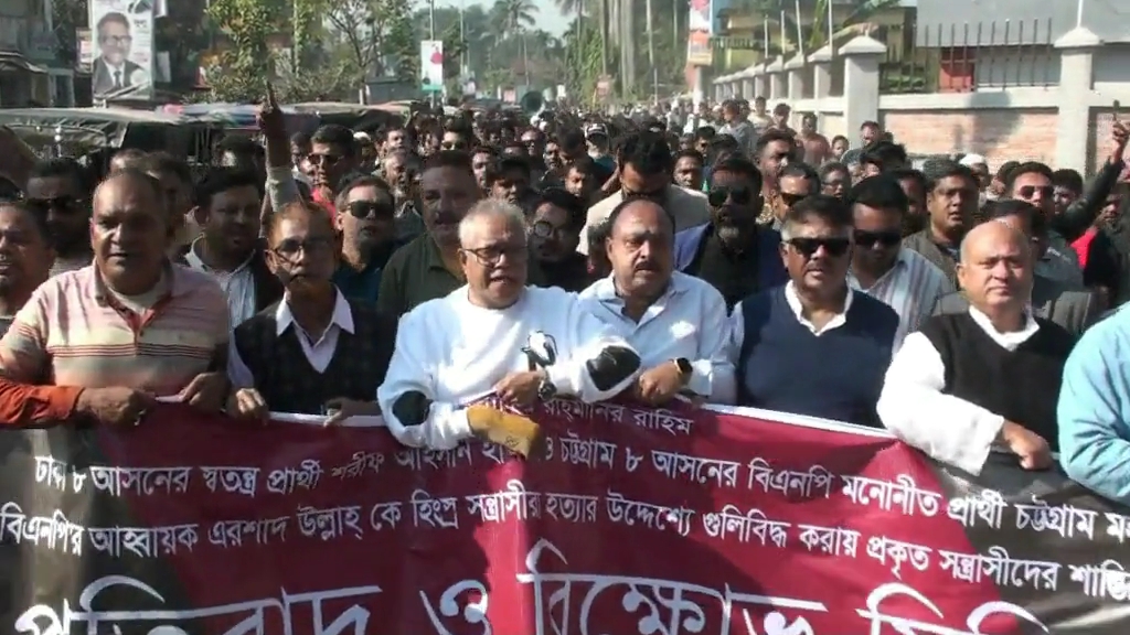 শেখ হাসিনার নির্দেশেই হাদিকে ত্যাকাণ্ডের চেষ্টা করেছে: দুলু