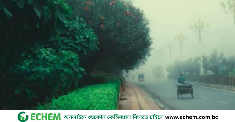 রাজশাহীতে মৌসুমের সর্বনিম্ন তাপমাত্রা ১০ ডিগ্রি