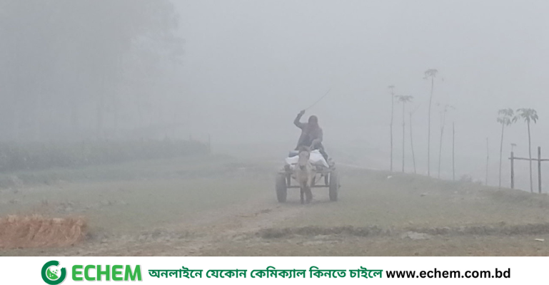 কুড়িগ্রামে ঘন কুয়াশা ও তীব্র ঠান্ডায় জনজীবন বিপর্যস্ত