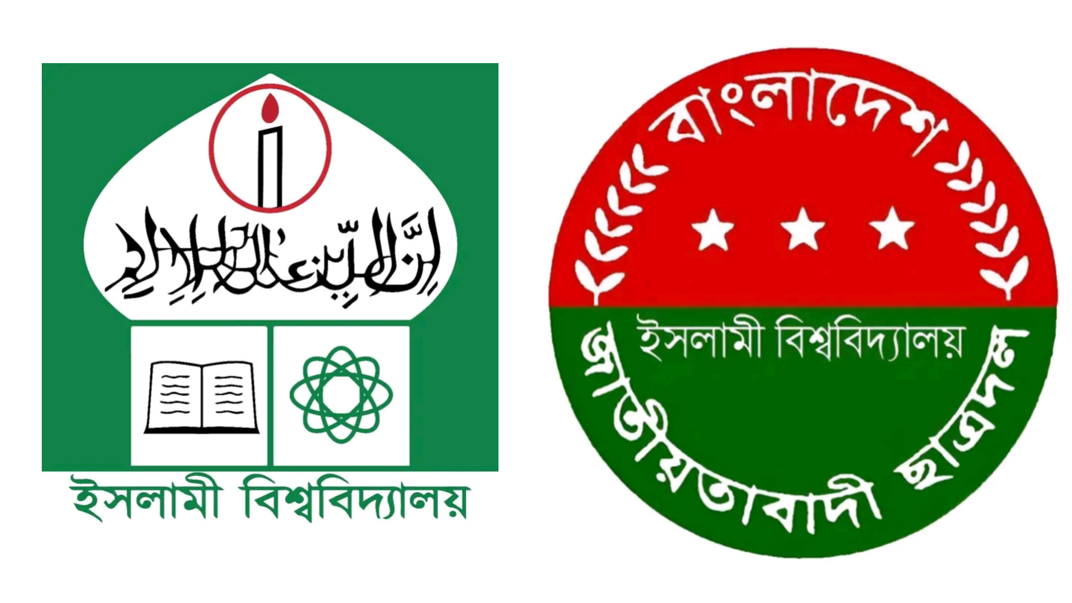 বিচিত্র কার্যক্রমে বছর শেষ করল ইবি ছাত্রদল