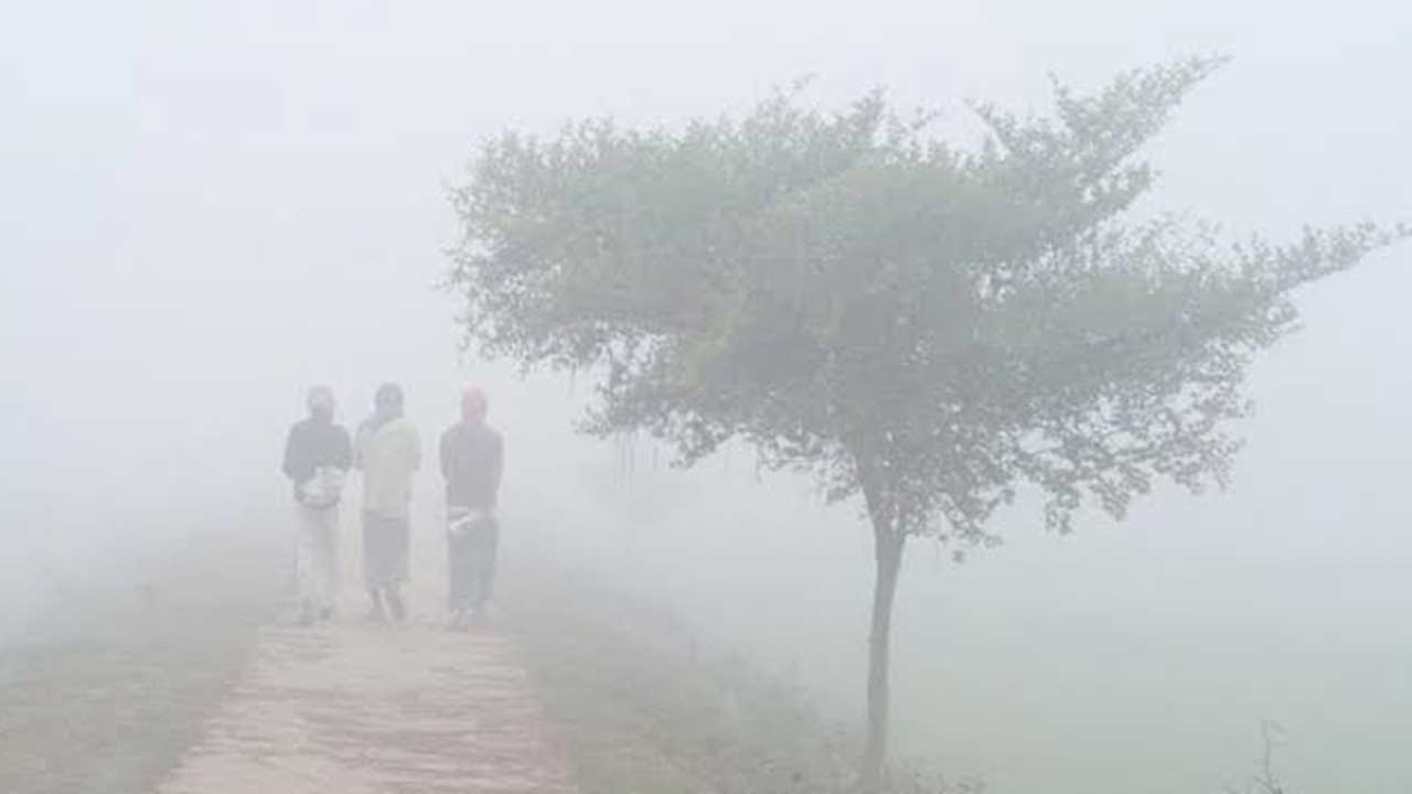 ৪৪ জেলায় শৈত্যপ্রবাহ চলছে, অব্যাহত থাকার আভাস