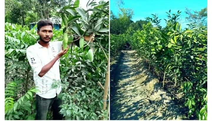 নার্সারি ব্যবসার প্রসারে রংপুরের গ্রামাঞ্চলে কর্মসংস্থান ও আয় বৃদ্ধি পাচ্ছে