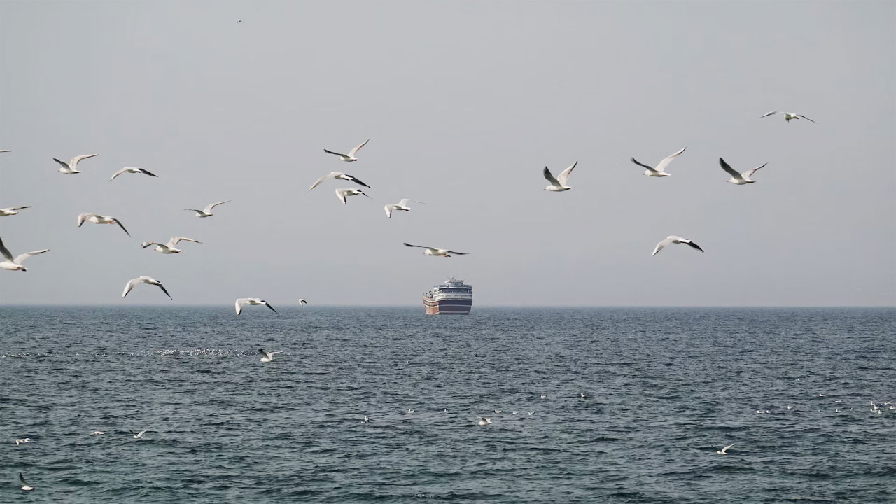 হরমুজ প্রণালী খোলা, তবে সবার জন্য নয় : ইরান