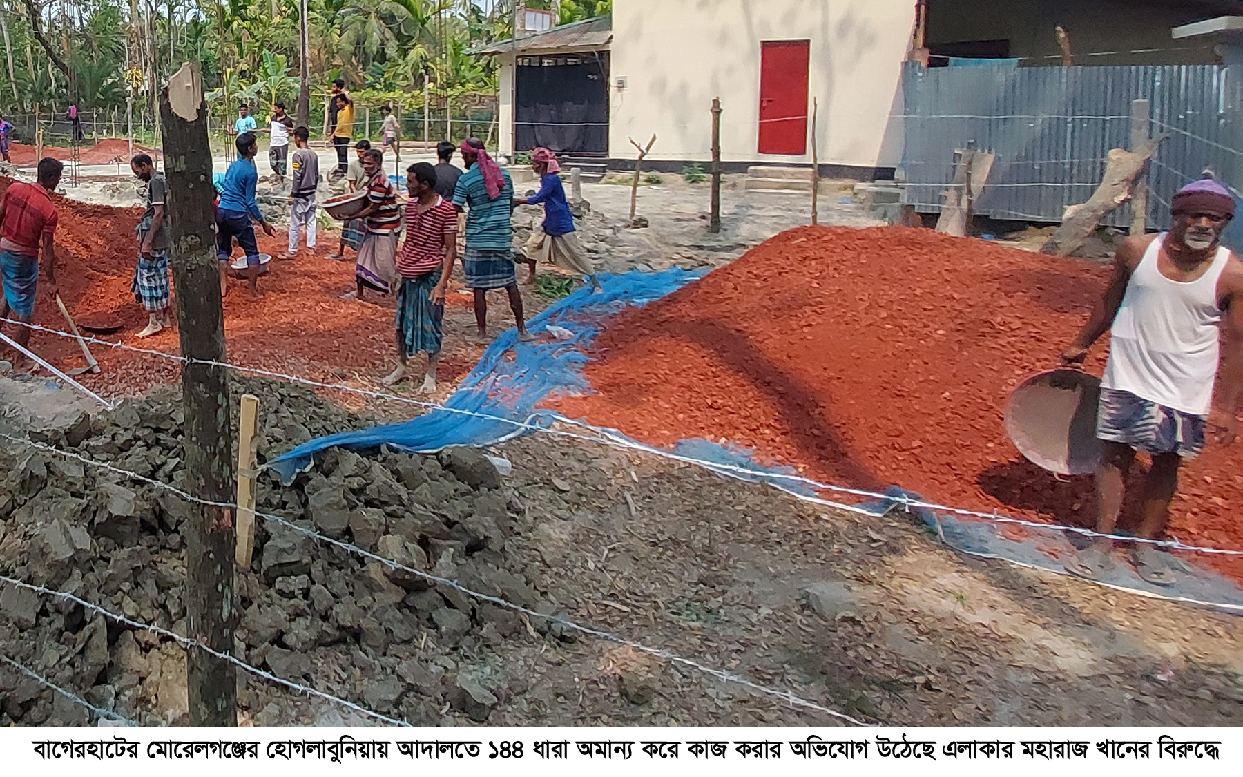 মোরেলগঞ্জে ১৪৪ ধারা উপেক্ষা করে  শিক্ষকের জমিতে কাজ করার অভিযোগ