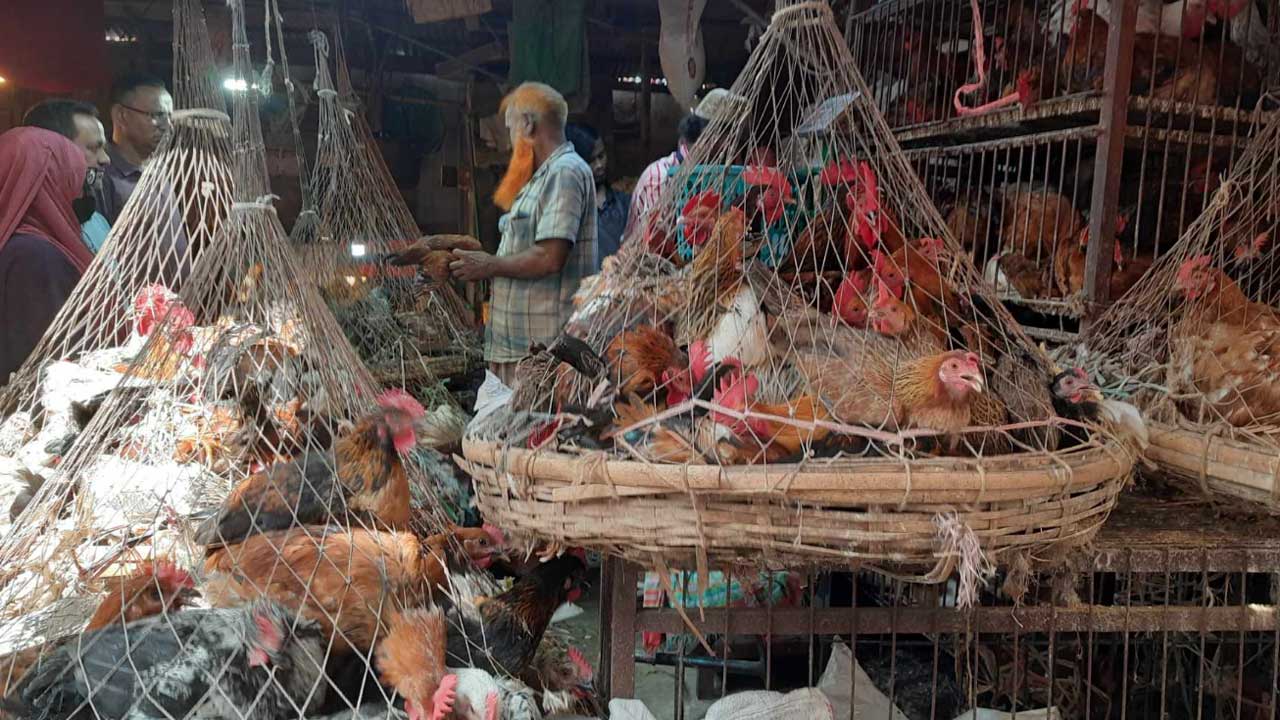 ঈদের বাজার চড়া: গরুর মাংস ৮৫০, ব্রয়লার ২৩০