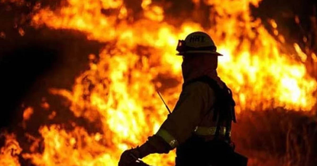 রাজধানীতে কারখানায় আগুন