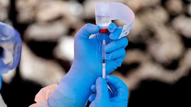 ৮০ জনের মৃত্যু: কঙ্গো-উগান্ডার ইবোলা প্রাদুর্ভাবকে ‘জনস্বাস্থ্যে বৈশ্বিক জরুরি অবস্থা’ ঘোষণা
